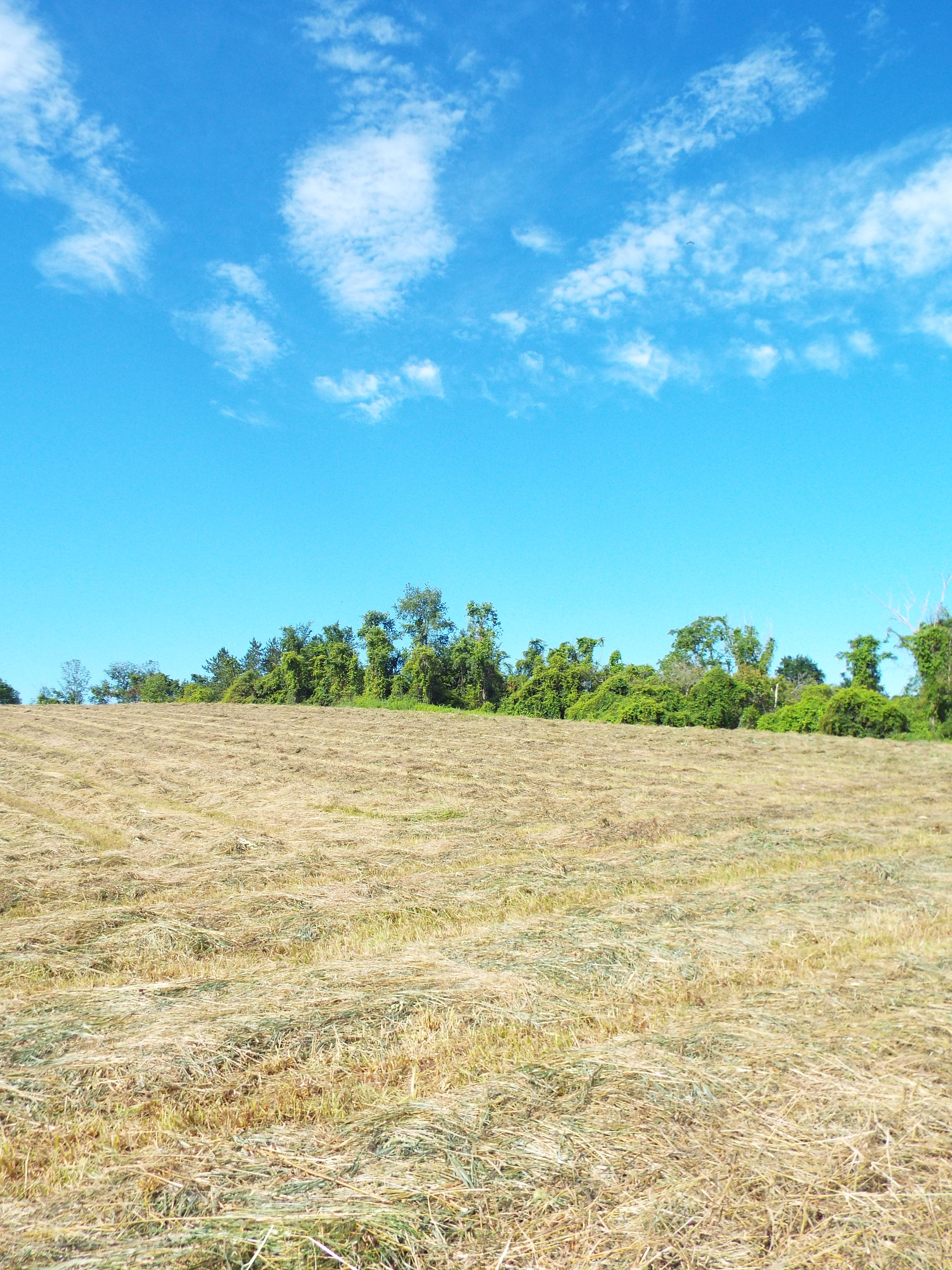  hayed field under gorgeous sky