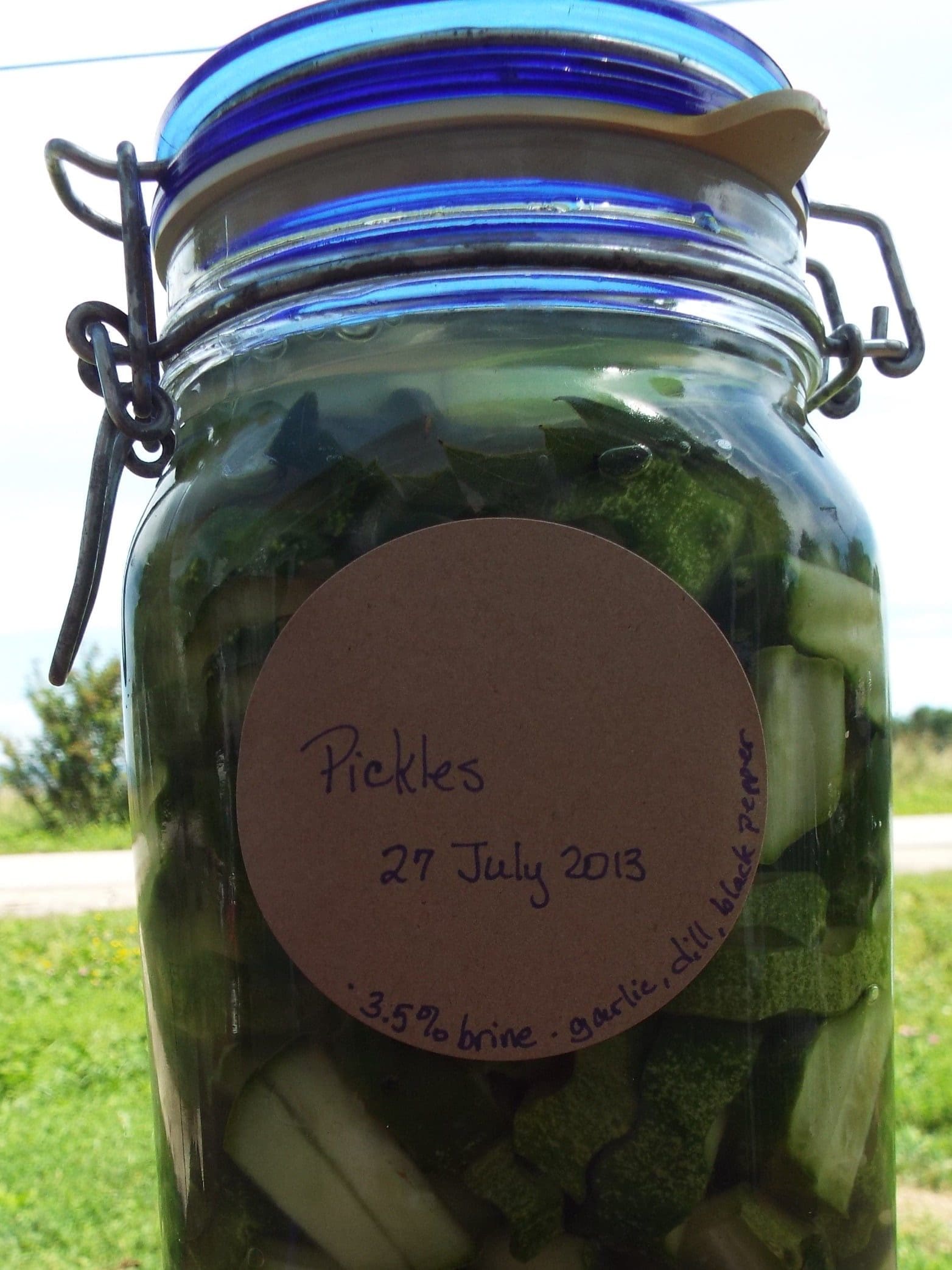 pickles2