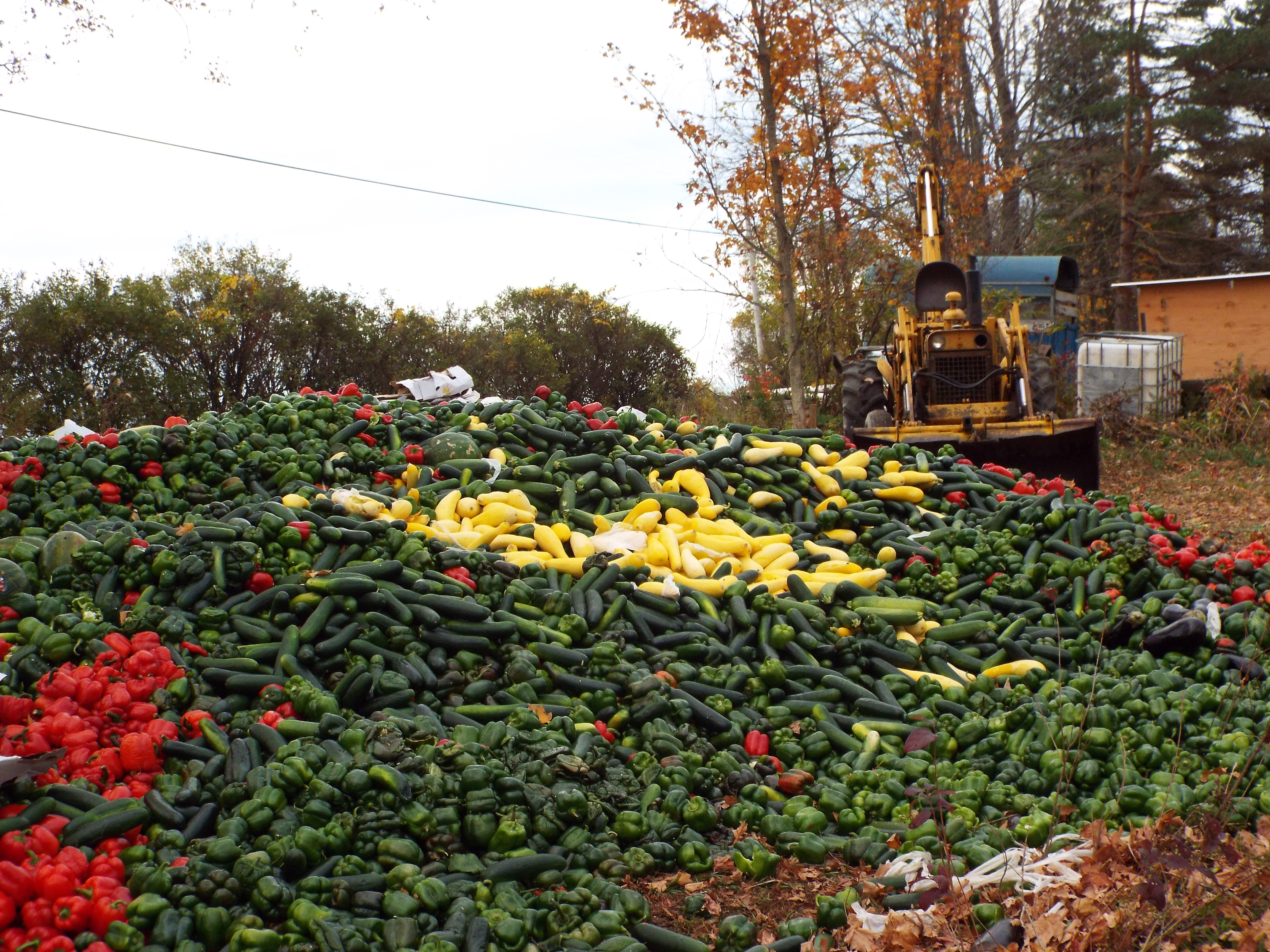 big pile o veggies