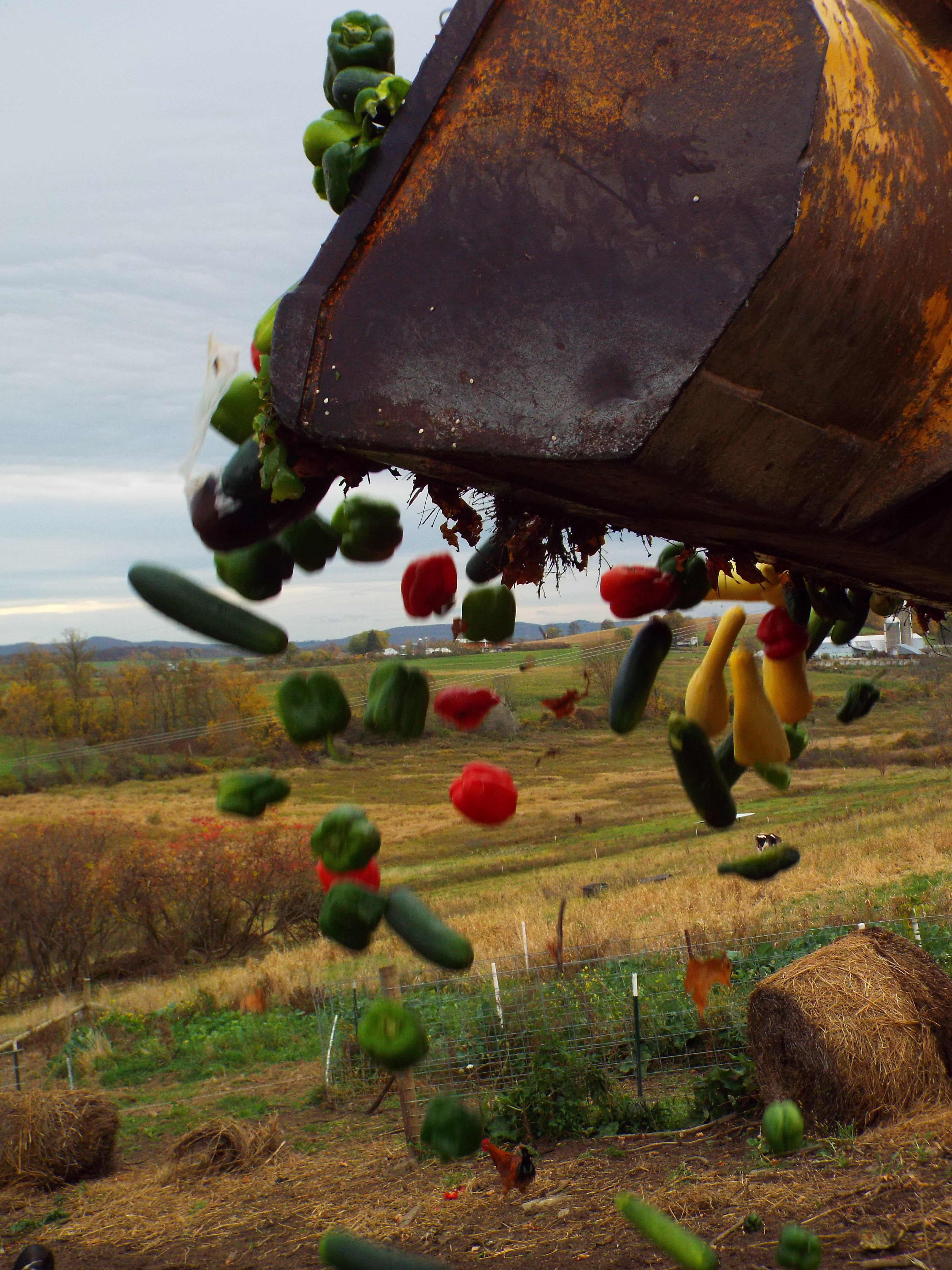 cascade of veggies