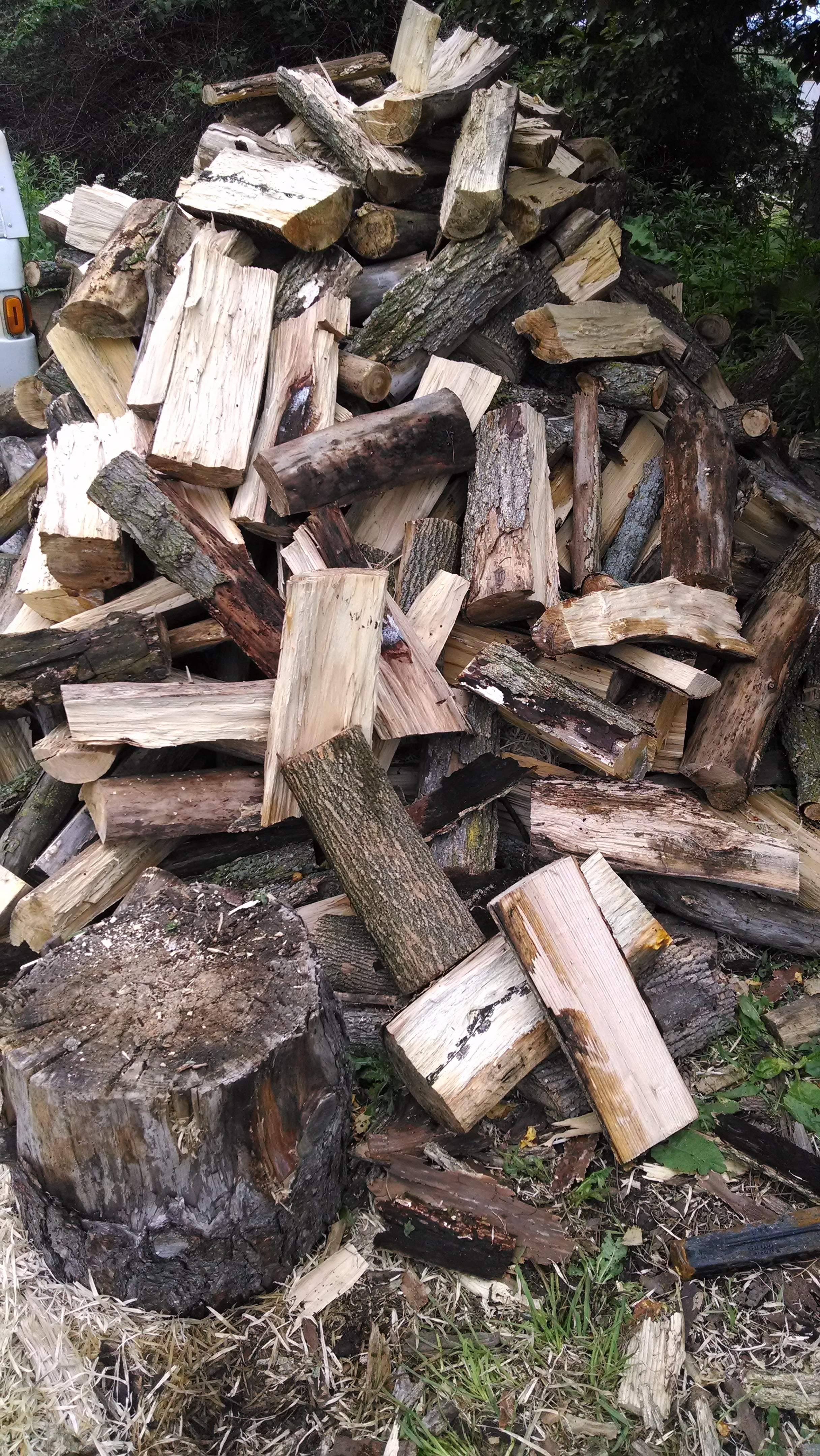 Next winter's firewood stack is growing