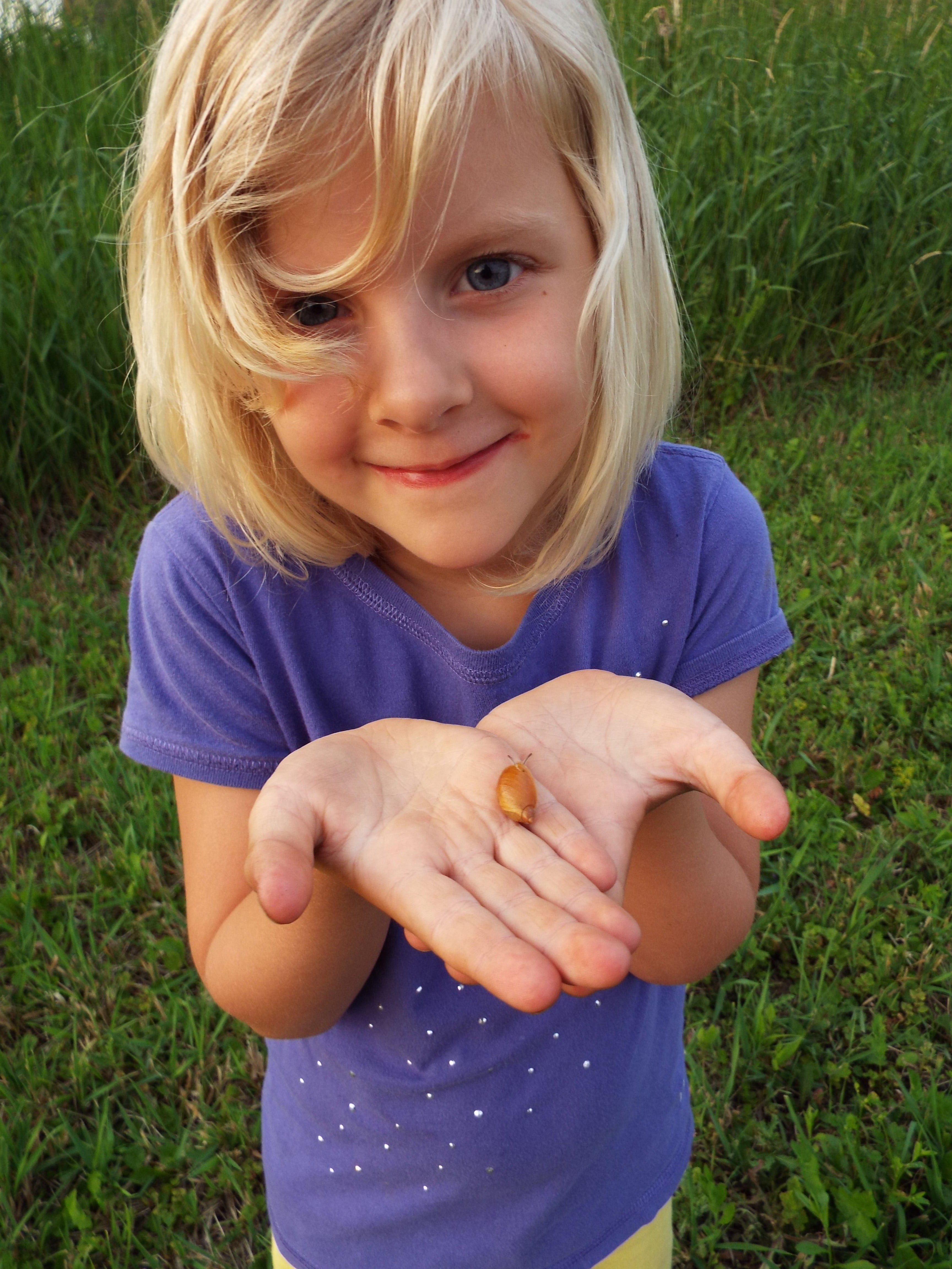 Snails came out in force this year, though we didn't sustain any loss to them.