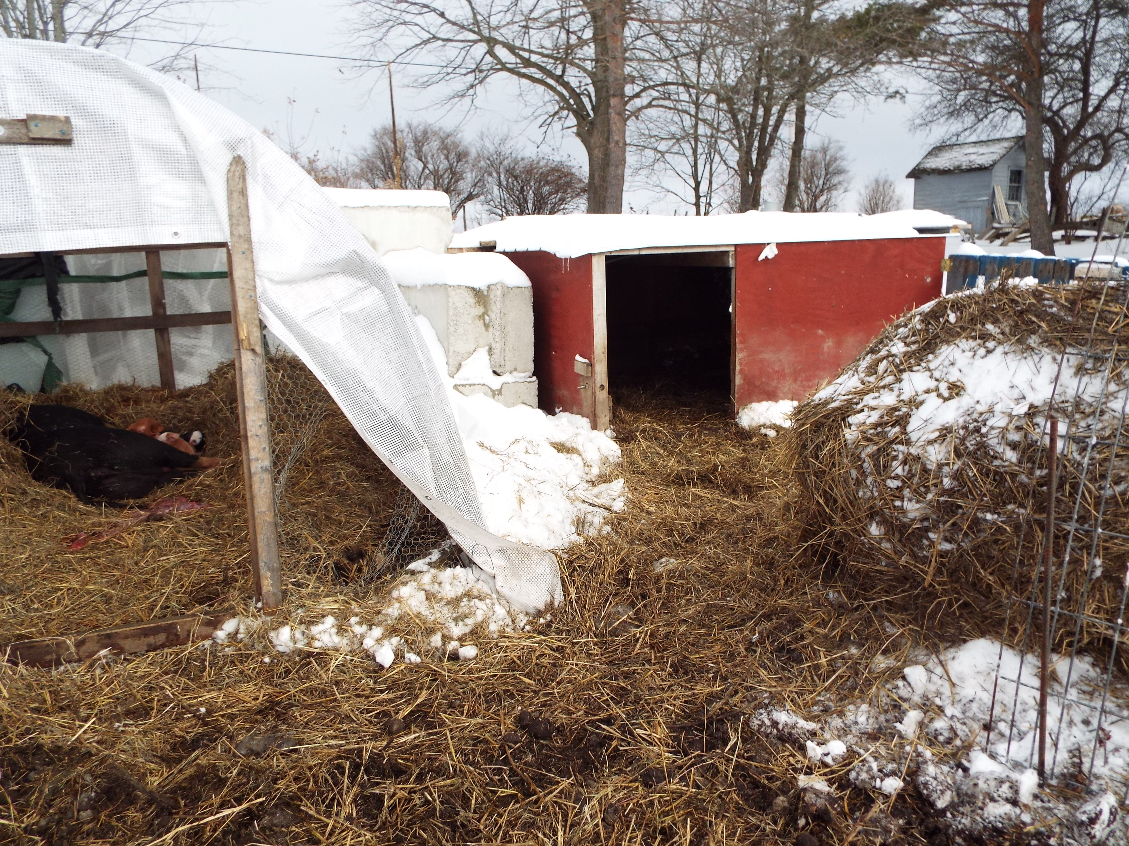 Gronkle's hut is on the left, the empty hut is in the middle and the heap of hay is on the right. 