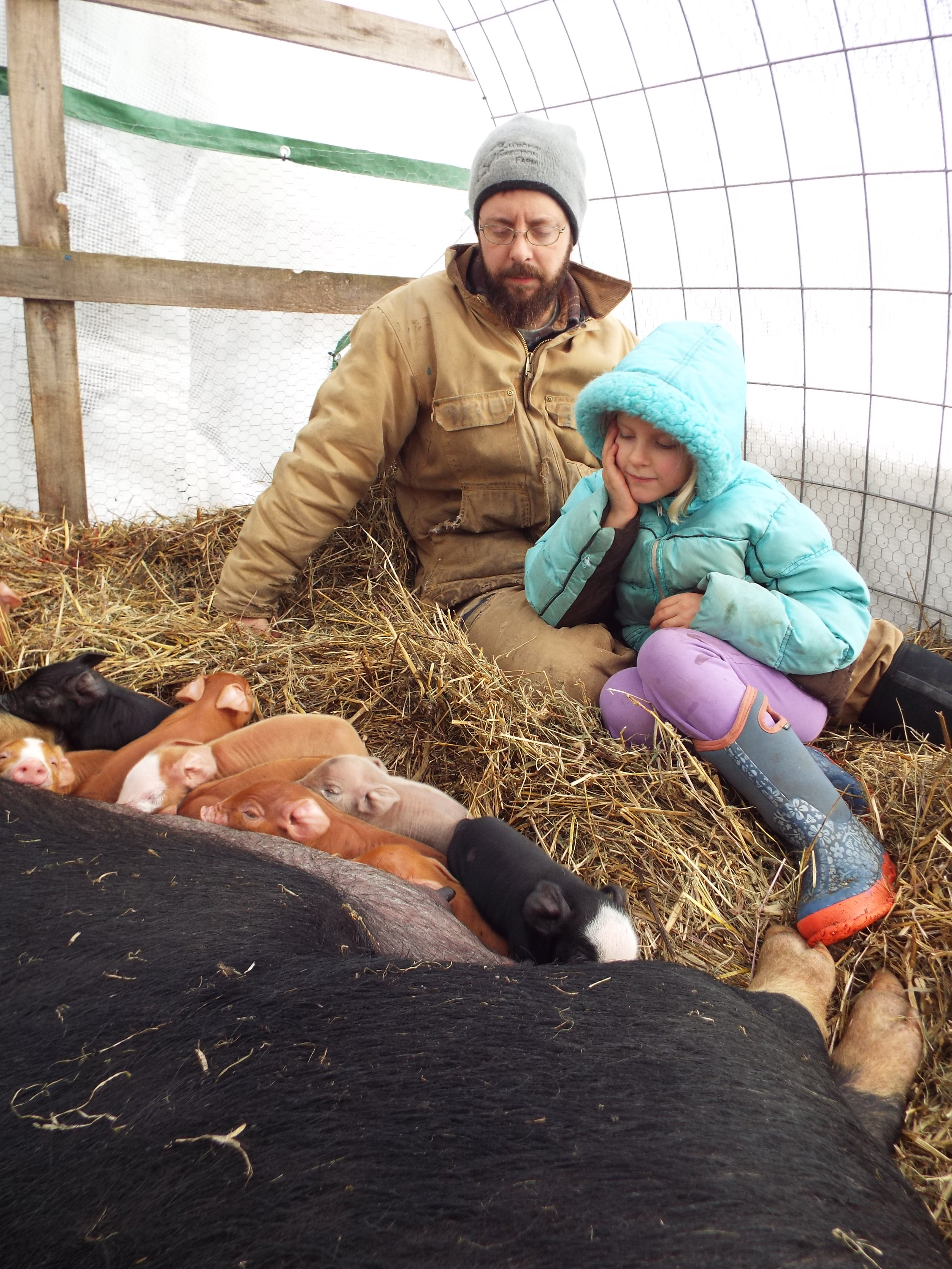 Sometimes, you just need to sit and watch new piglets.