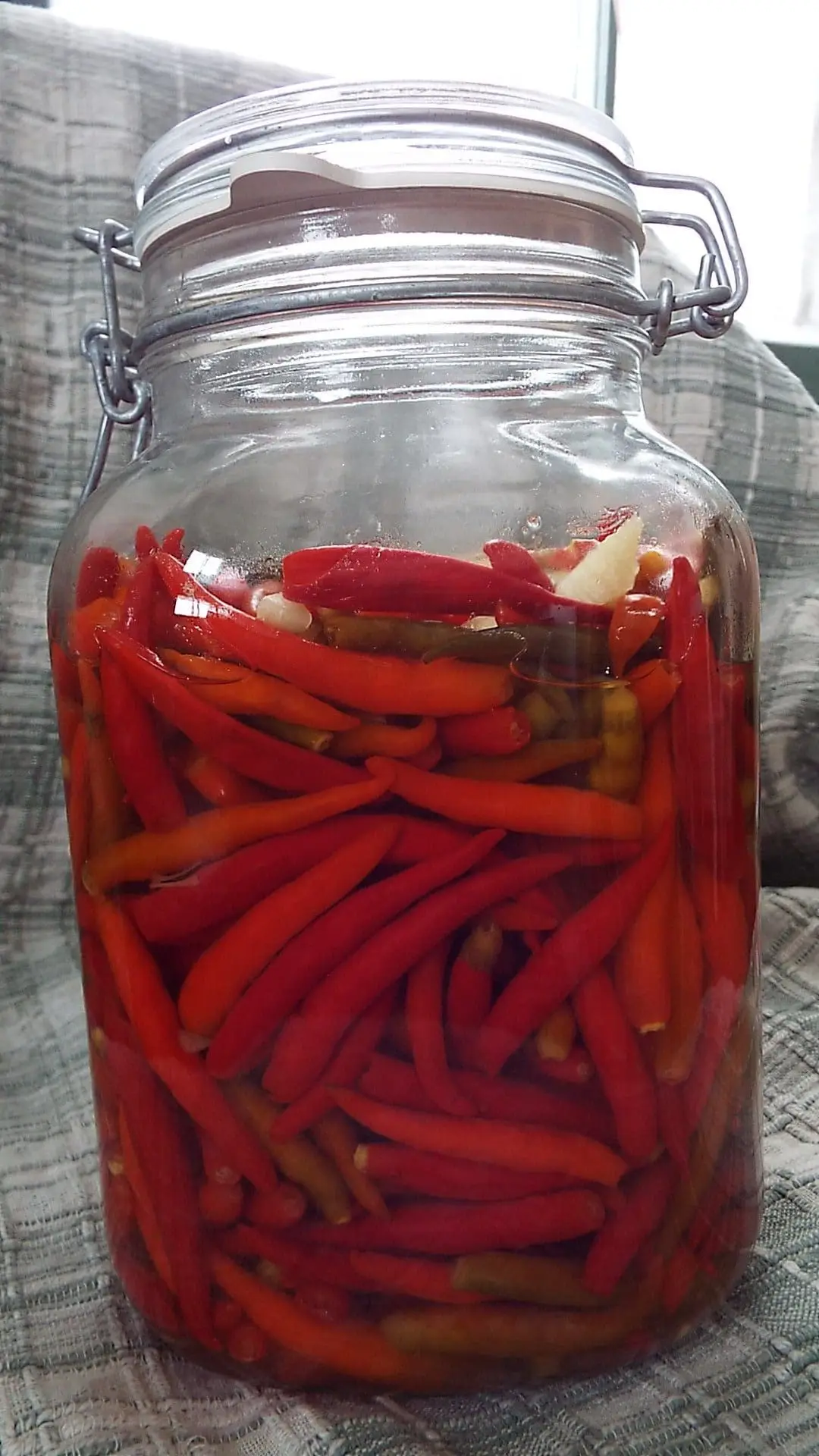 Red peppers, garlic and salt make up this brew.  The red peppers have more sugar than the green, so fermentation works better.