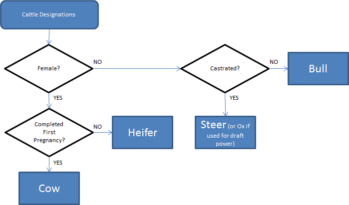 This flowchart represents the main descriptions of cattle. Many other secondary descriptions are also used.