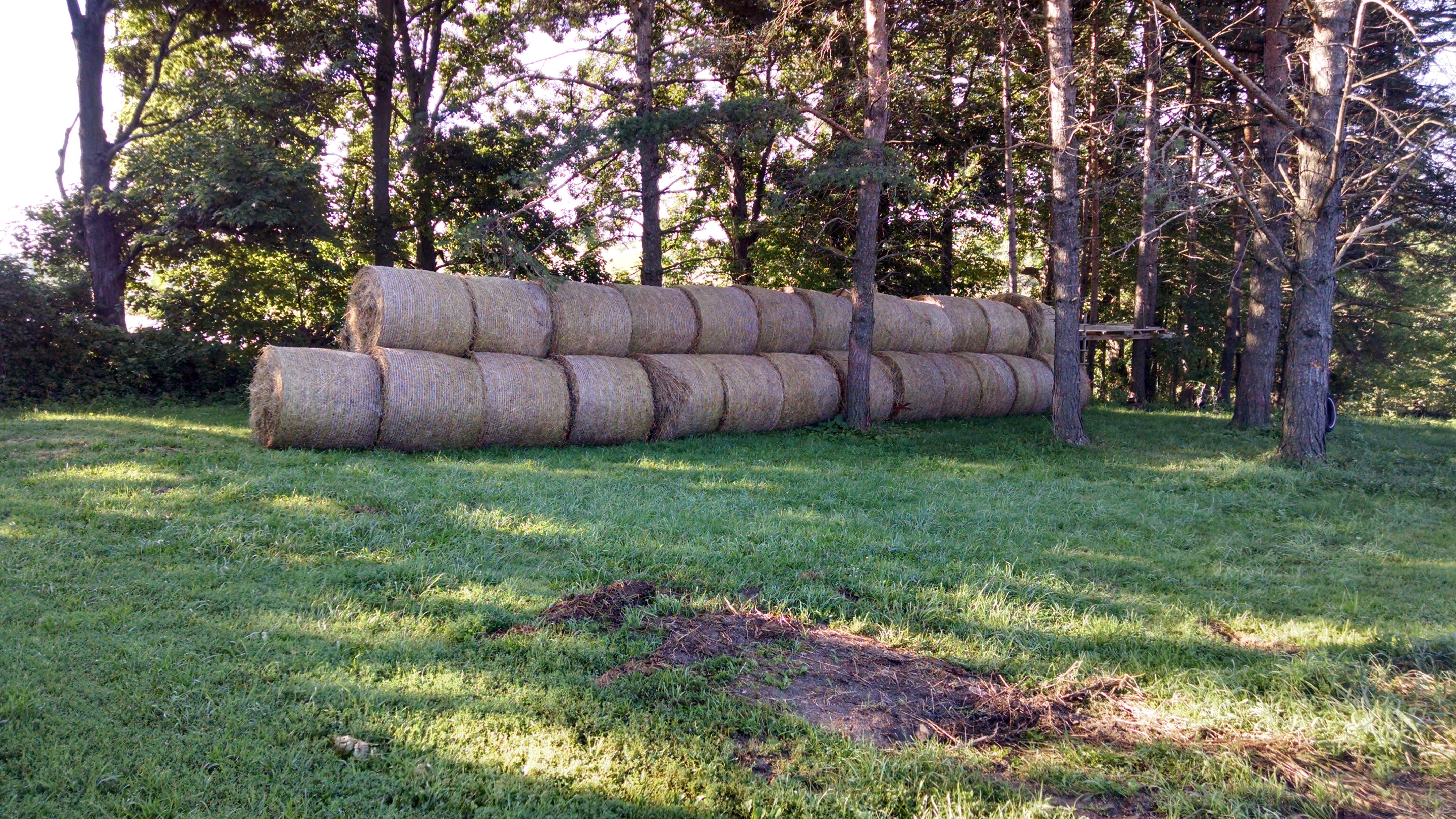 The upper hay pile.