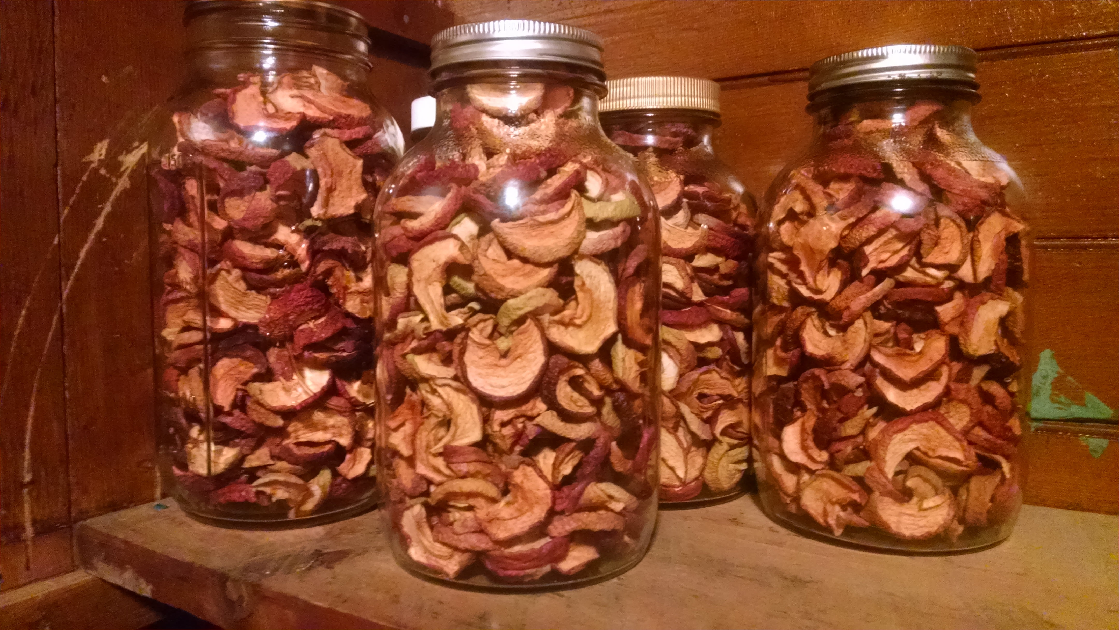 Dried apples are starting to pile up in the pantry.  By the end of the season, we should have about ten times as much piled up.