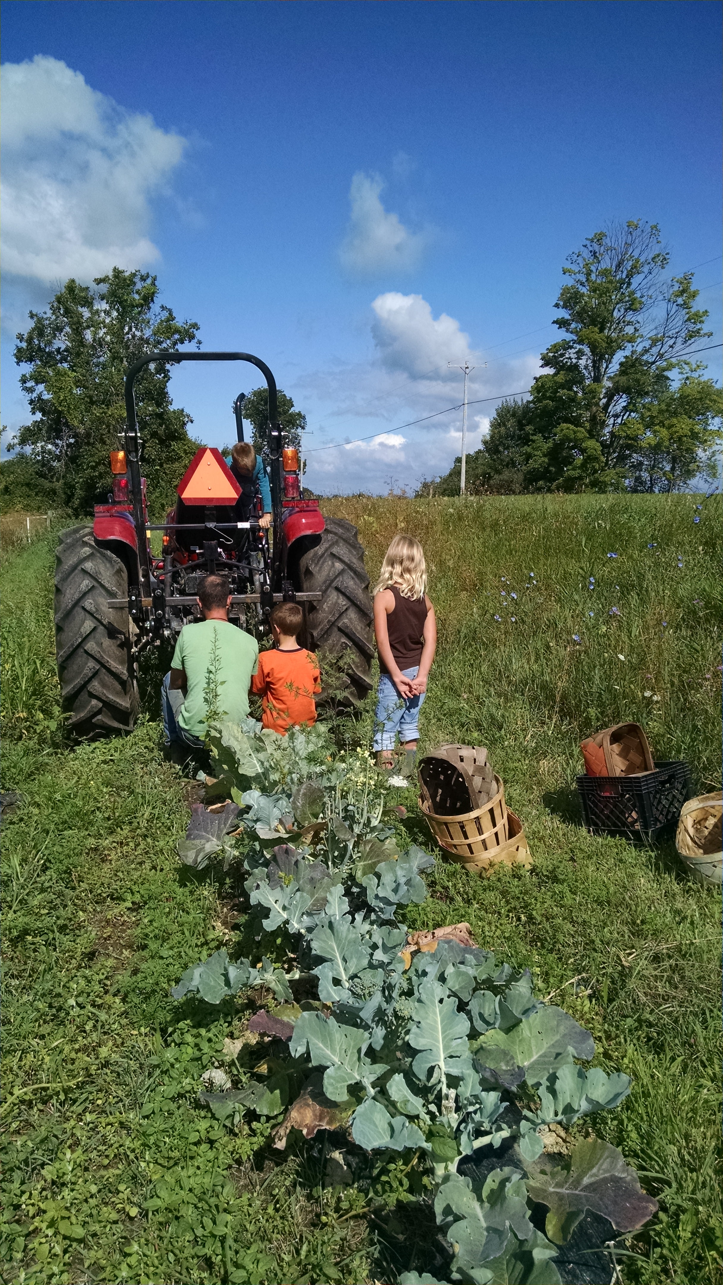 adjusting the plough 