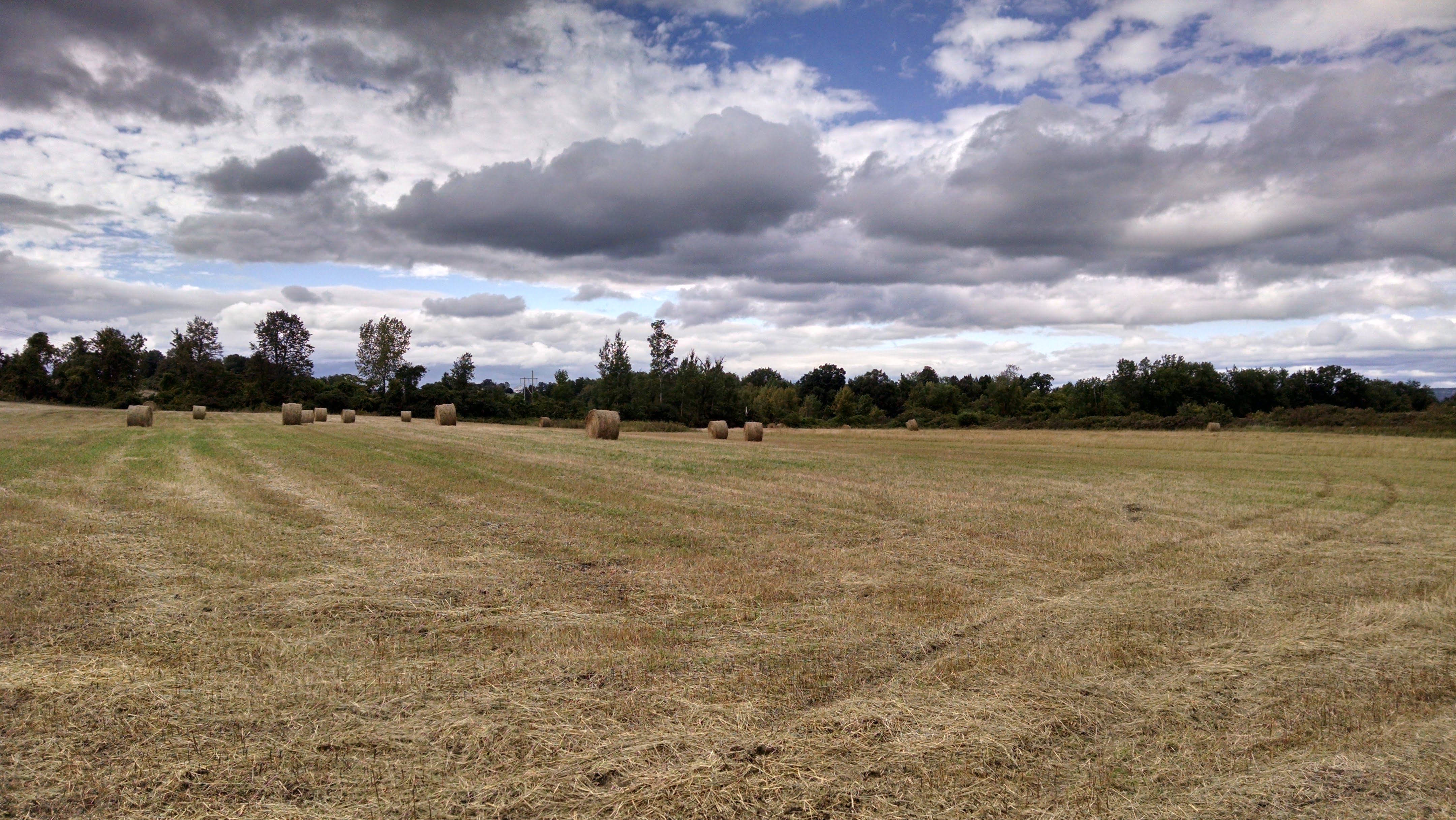 Straw bales