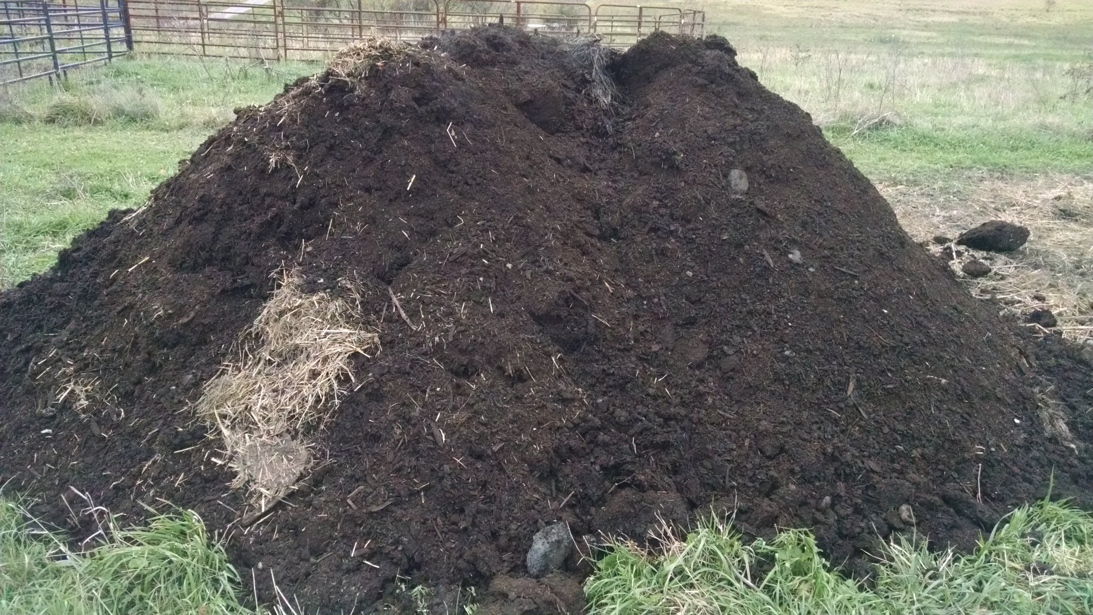 Piled up, I'll let it compost for a few more weeks.  It will freeze up once the weather starts falling below zero, but it will be in good shape for spreading next summer.