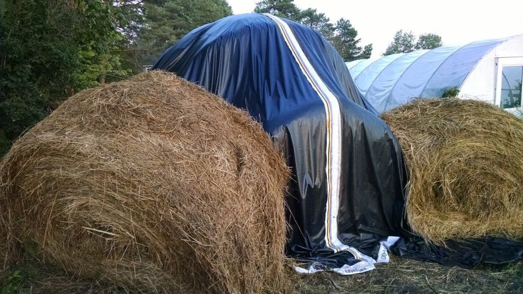 Tarped Bales 2