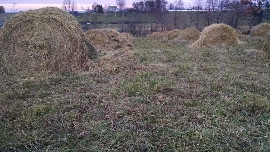 windswept-bales