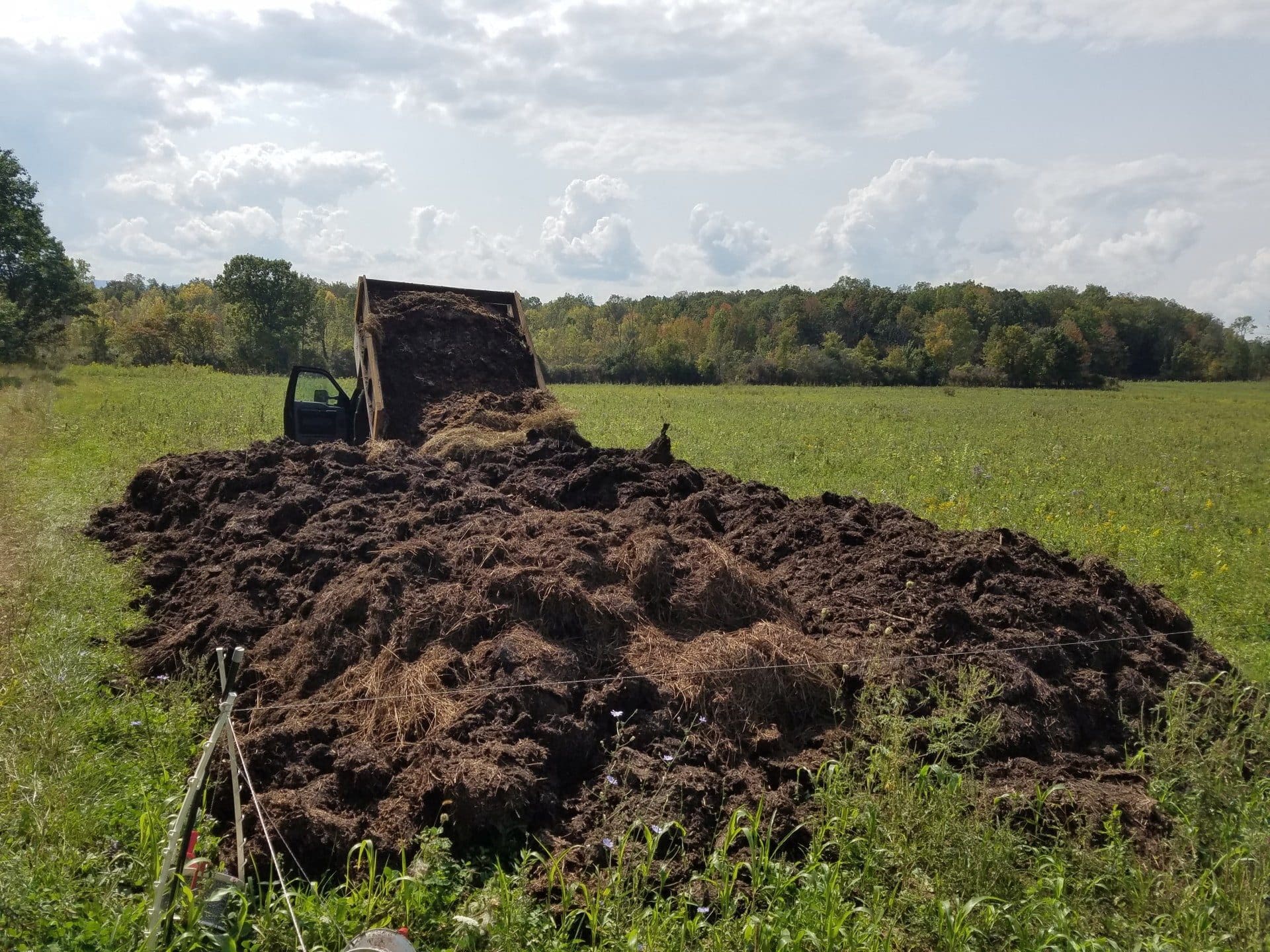 Compost Windrows