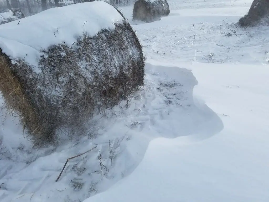 Snow Drift Bales 2