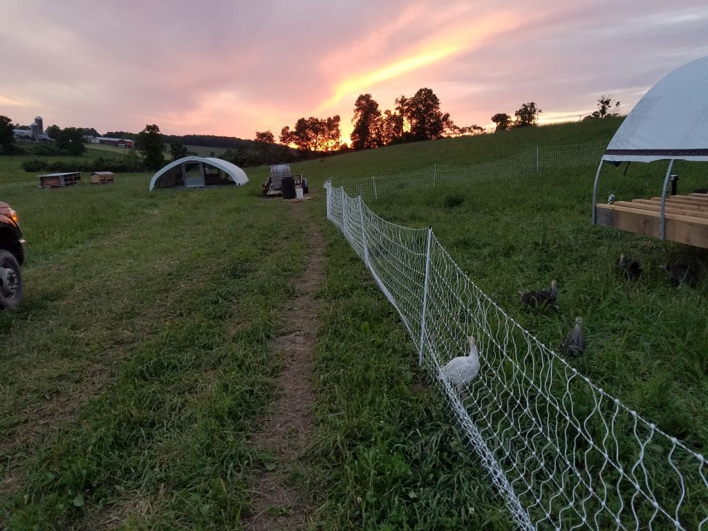 Poultry Housing Sunset