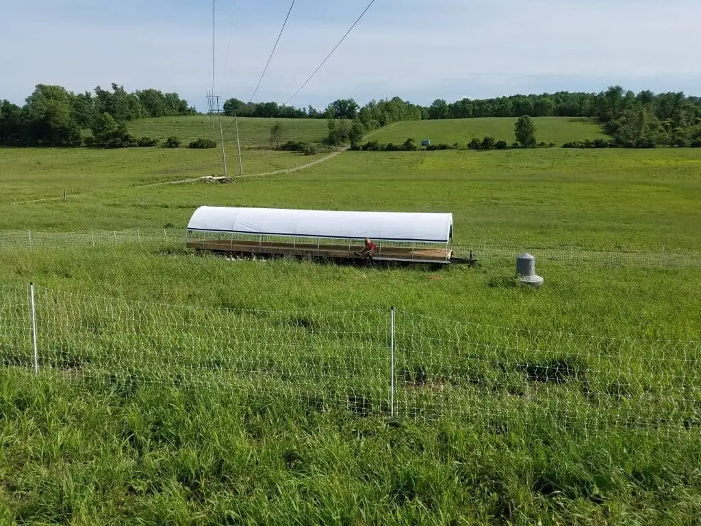 Turkey Trailer on Pasture