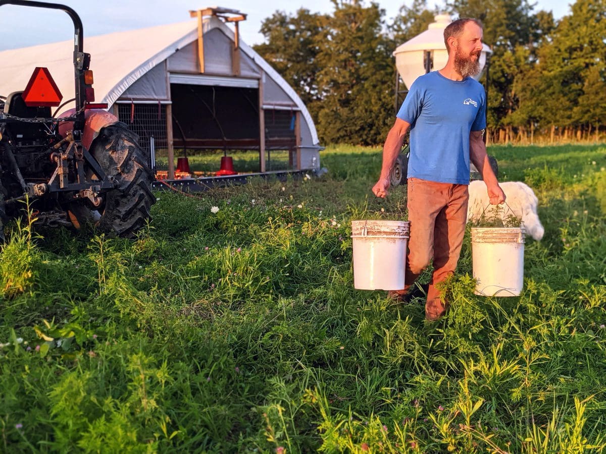 Farmer Dave carrying organic chicken feed to our pasture raised chickens.