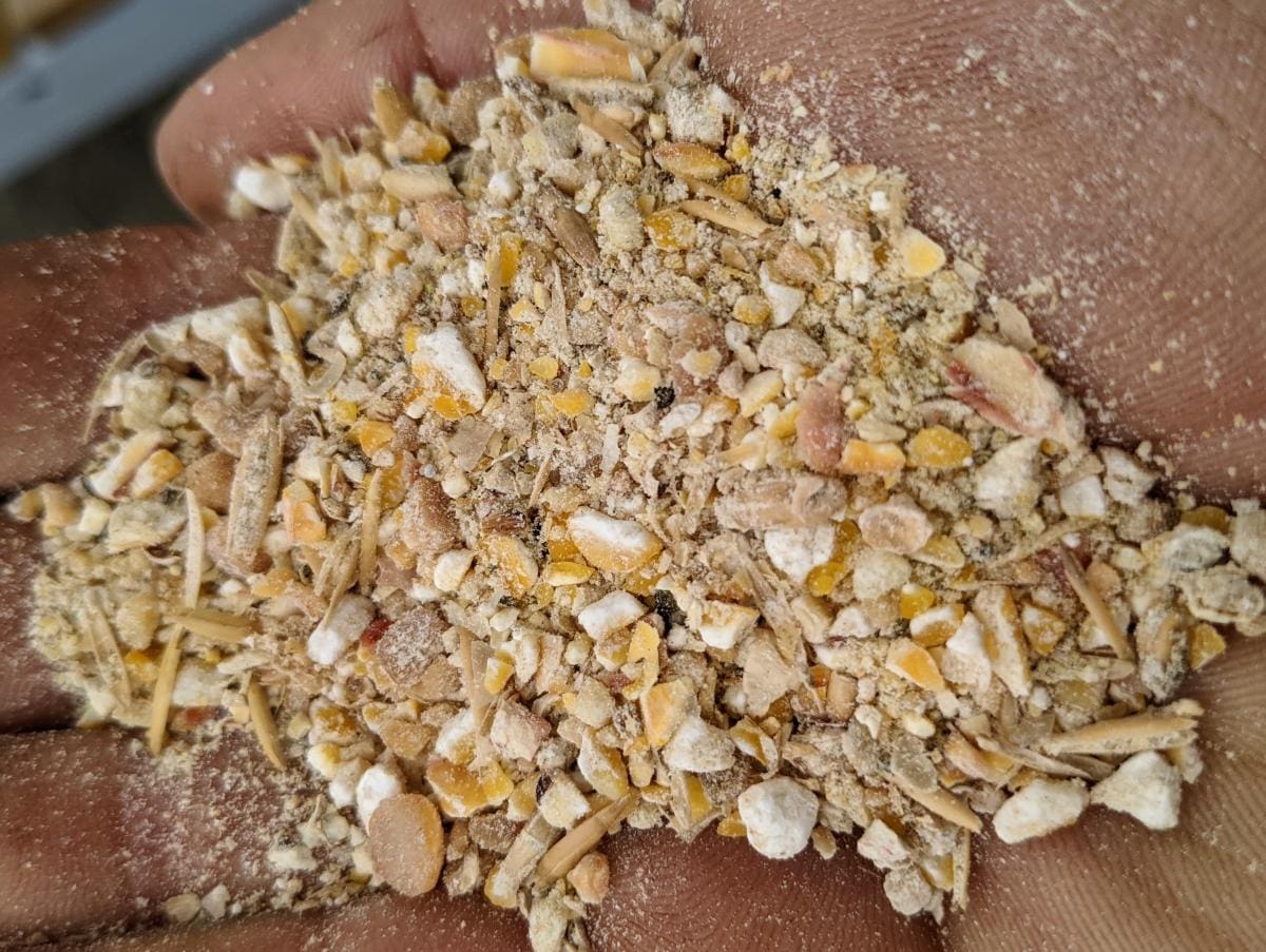 Closeup of the certified organic chicken feed used for the pasture raised chickens at Wrong Direction Farm.