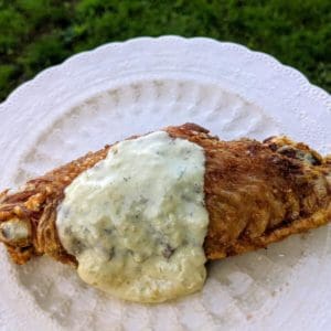 Fried turkey wing, pasture raised and certified organic, served on a plate with sauce. Outdoor setting.