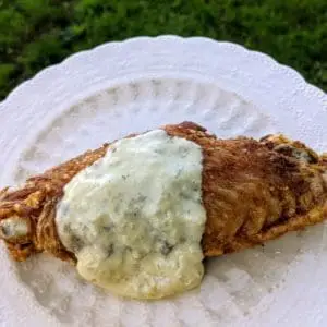 Fried turkey wing, pasture raised and certified organic, served on a plate with sauce. Outdoor setting.