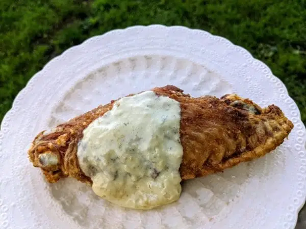 Fried turkey wing, pasture raised and certified organic, served on a plate with sauce. Outdoor setting.