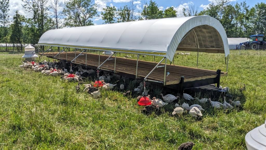 We Build a New Turkey Shelter – Wrong Direction Farm