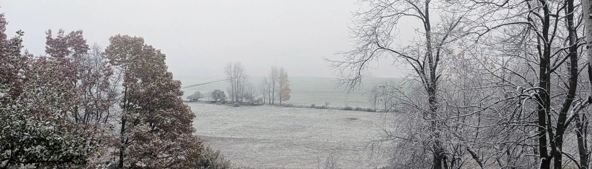 Photo of the farm landscape with a light dusting of snow and frost on a foggy morning.